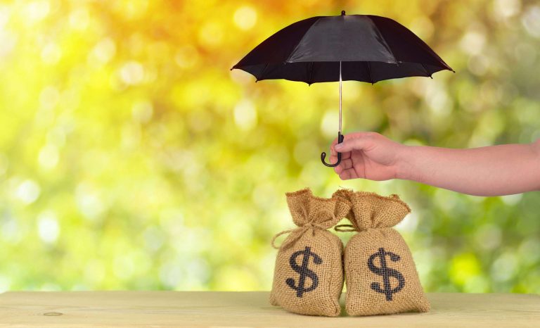 A hand holds a black umbrella over two burlap sacks with dollar signs, set against a blurred green background.